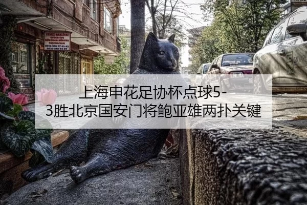 上海申花足协杯点球5-3胜北京国安门将鲍亚雄两扑关键